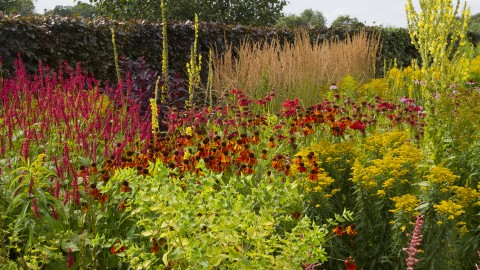 Plant Association - John Davies Landscape